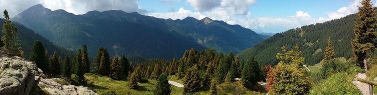Panoramic Landscape of the alpines