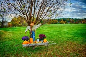 pumpkin decorations among green field