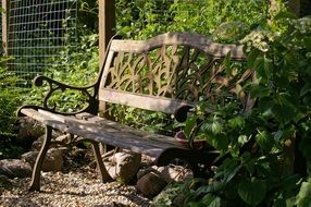 old bench in a cozy garden