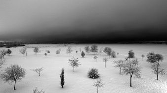 snow black and white winter landscape