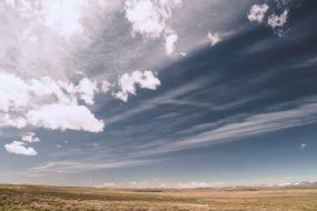 Landscape of the desert field