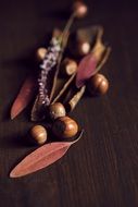 autumn decoration leaves nuts fall on wooden board