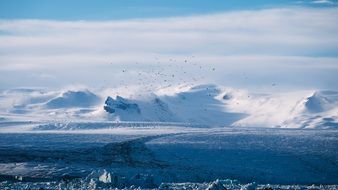 remote view of a flock of birds over a glacier