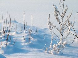 unbelievably beautiful winter