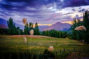 wild mountain scenery in new zealand at dusk