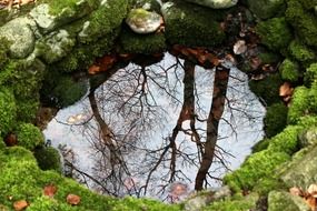 stones with moss around the source