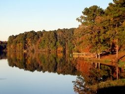 photo of autumn forest along the lake
