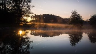 Lake in the forest and Germany