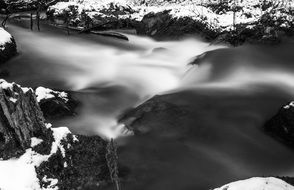 Black and white Picture of misty forest