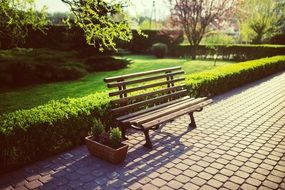 bench in a spring garden