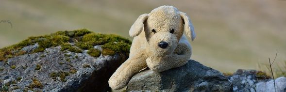 plush dog on a big stone close up