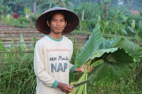 indonesian farmer at work