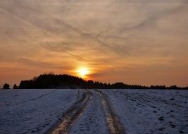 sunset behind the trees at the end of the road