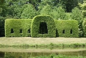 hedge in park, cut art