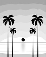 palms at sea beach, black and white illustration