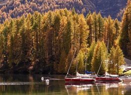 boats on a lake in autumn forest, switzerland