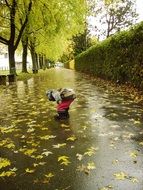 Rain in november