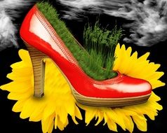 red Shoe with grass inside on a yellow flower