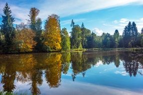 golden autumn on a lake