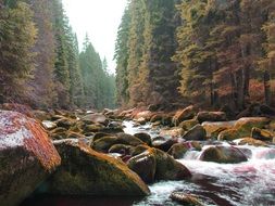 fast river river