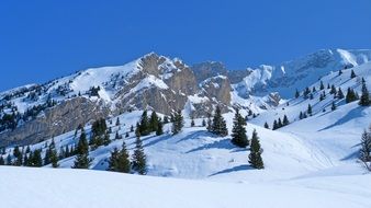 winter landscape in mountains