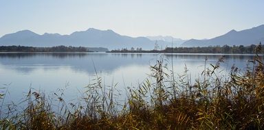 landscape near a lake with mountains