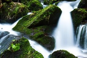 mossy rocks in creek