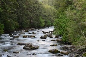mountain river stones wild nature
