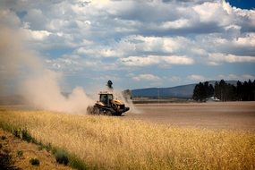 panoramic view of a farm field in california