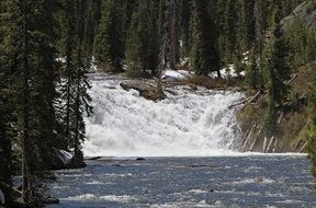 Landscape of Lewis Falls