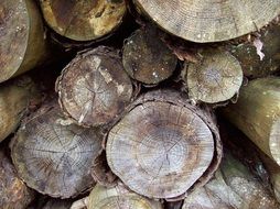 woodstack logs