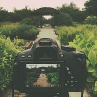 photo of the garden on the camera