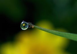 Photo of the dew drop
