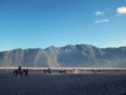 horse riding on the background of mountains