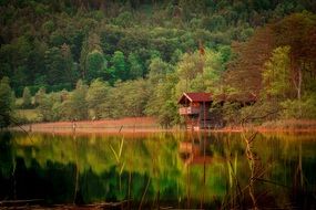 distant view of a wooden hut by the lake in the forest