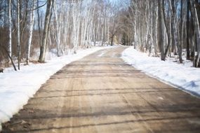 winter road between frozen forest