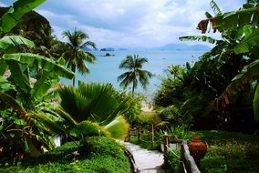 panoramic view of the tropics in thailand