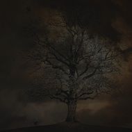 creepy tree drawing