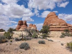 desert landscape with sandstone rocks, usa, utah