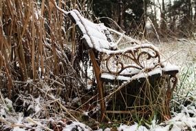 Picture of the snowy bench in a forest