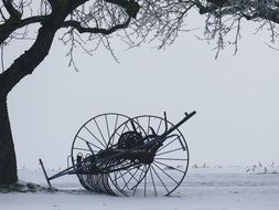 a wagon near a tree in winter