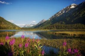 landscape of Reflection of a mountain in a lake in Alaska