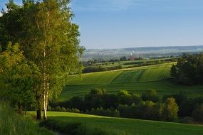 green nature landscape