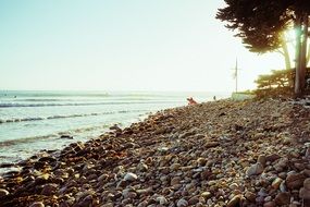 harmony on a pebble beach
