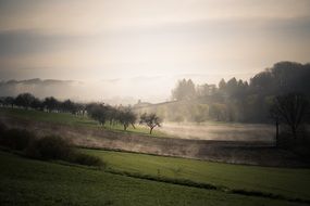 Beautiful landscape of the foggy countryside with trees and hills in autumn