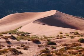pink sandy dunes, usa