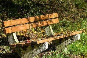 autumn leaves on wooden bench