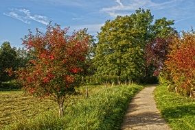 Picture of spring nature landscape