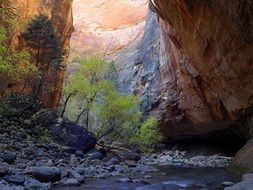 Zion in National Park