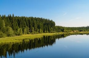 Landscape of the calm lake in a forest